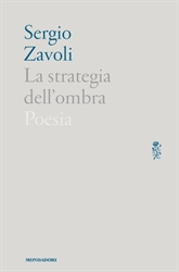 La strategia dell'ombra